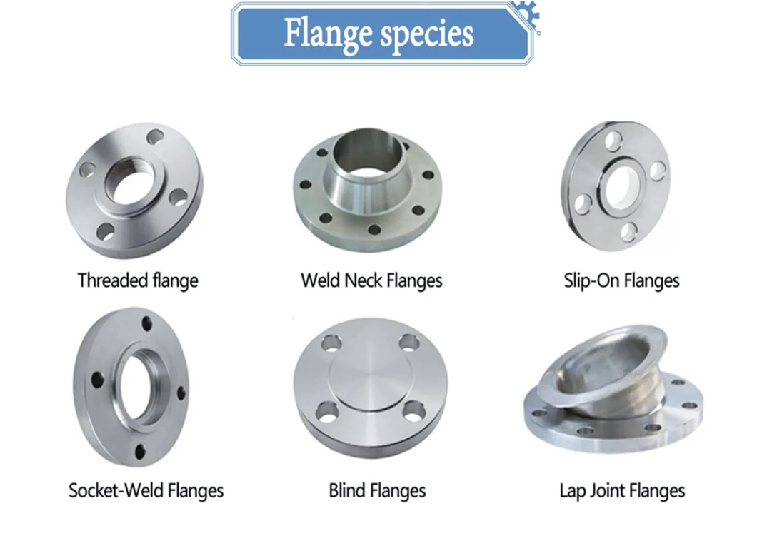 Forged Duplex Flange Stainless Steel Socket Welding Flange