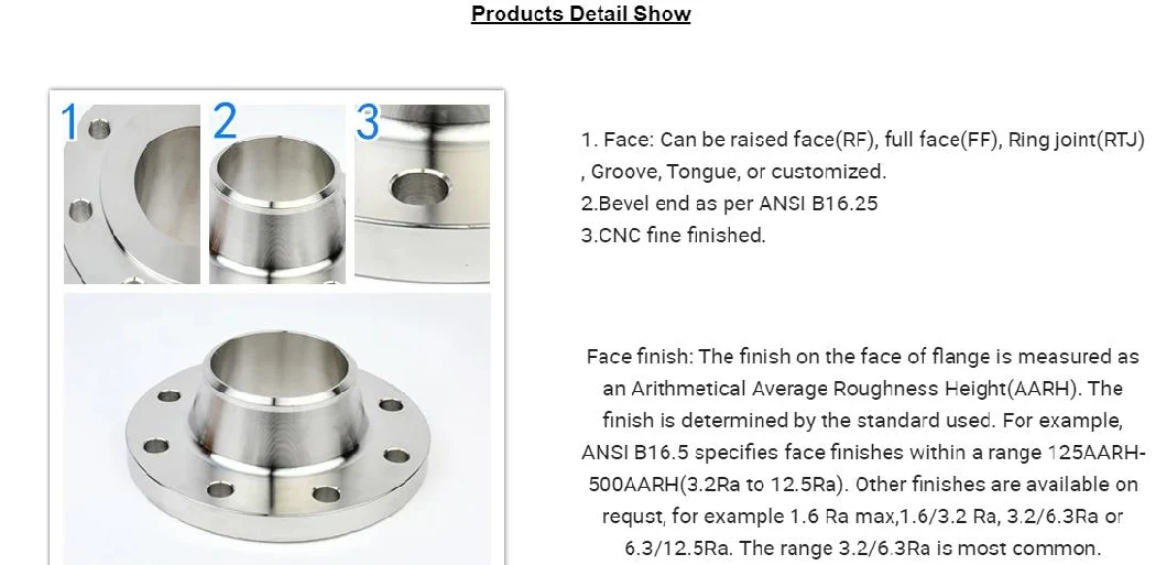 Stainless Steel Forged So Blind Blind/Slipon/Threaded/Socket Welding/Steel Pipe/Plate/Weld Neck/Carbon Steel Flange for ANSI