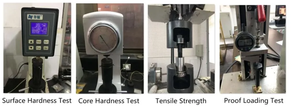 Carbon Steel /SS304/A2-70/DIN6921/DIN933/DIN931/Flange Bolt/Hex Bolt/Carriage Bolt/T Head Bolt/U-Bolt/Wedge Anchor Bolt